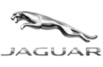 Jaguar Jaguar